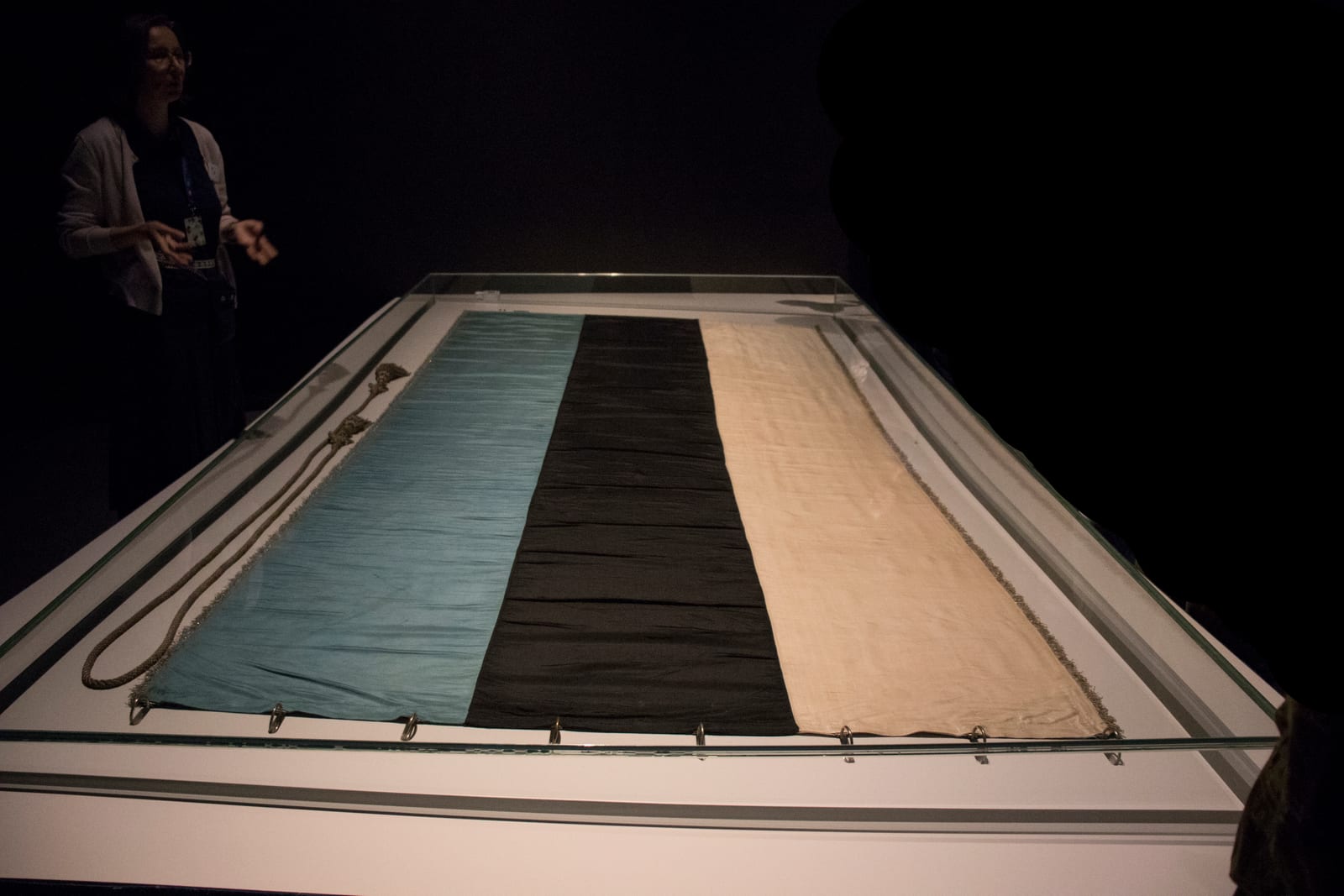 The flag of the Estonian Students' Society