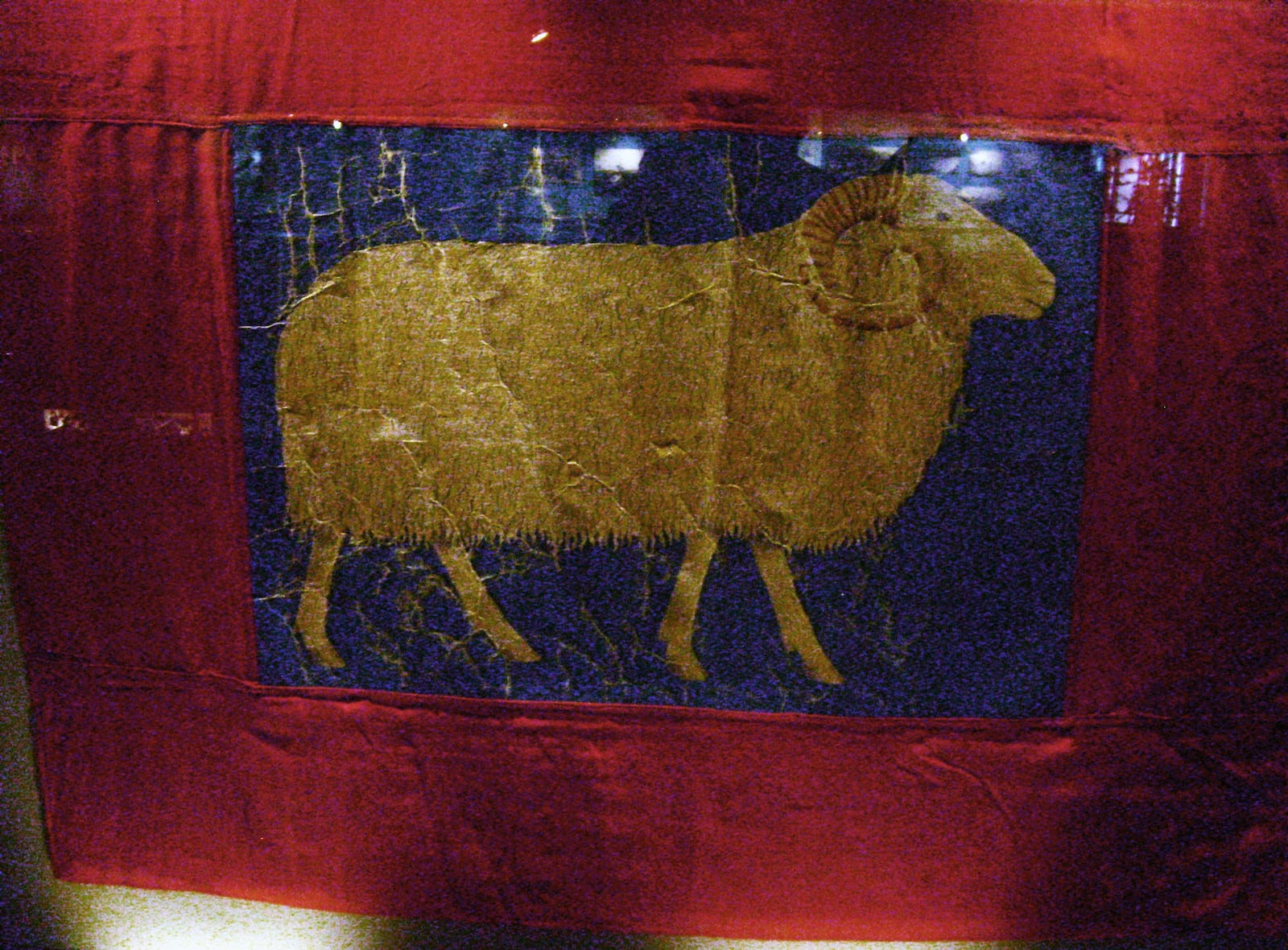 The oystercatcher and the ram
