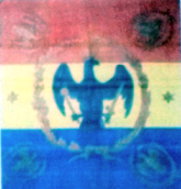Wallachia's first tricolour