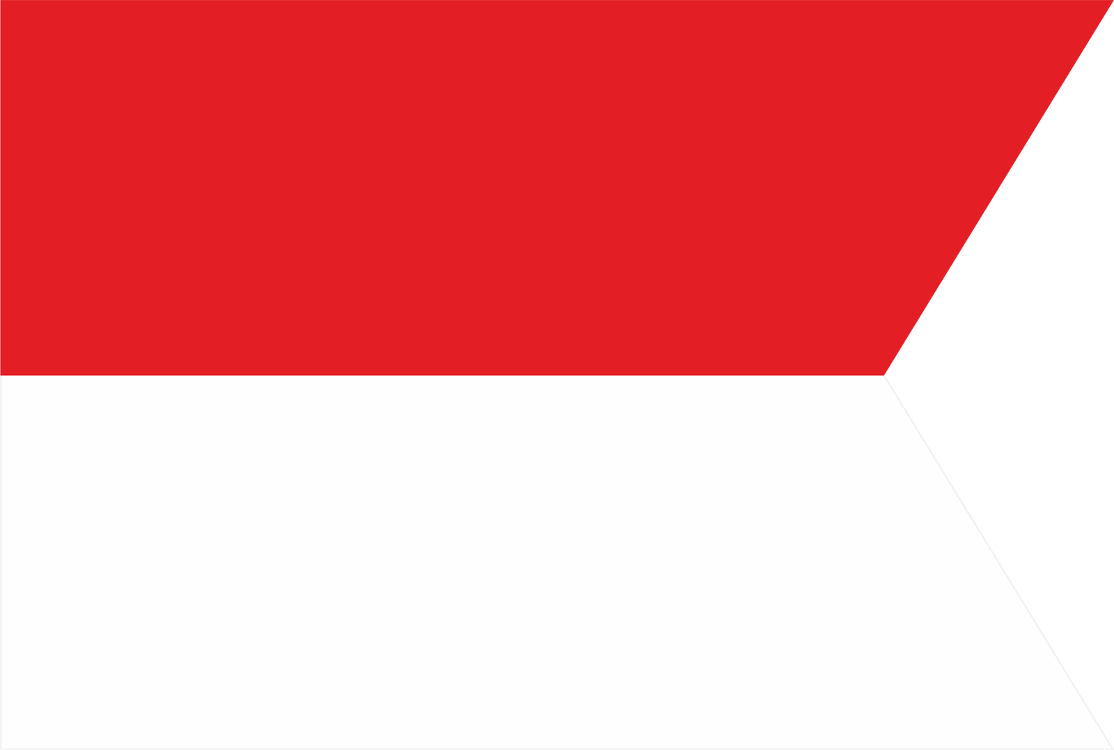 The first Slovak flag
