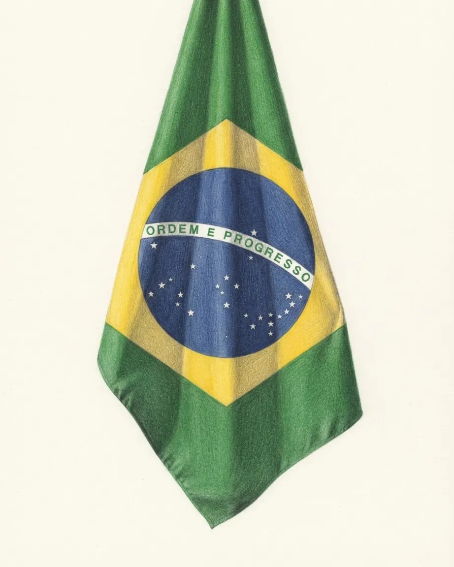 The flag of Brazil drawn as a hanging cloth: a yellow diamond on green holding a blue starry globe with the motto Ordem e Progresso.